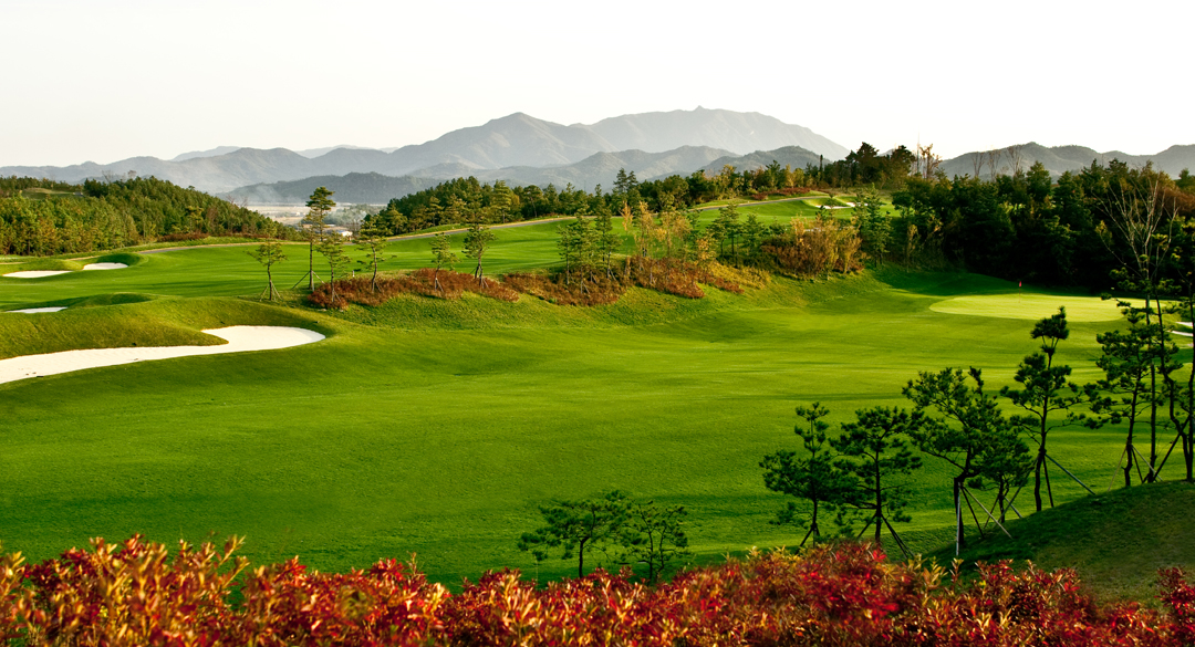 JNJ 골프장 예약 이미지 1