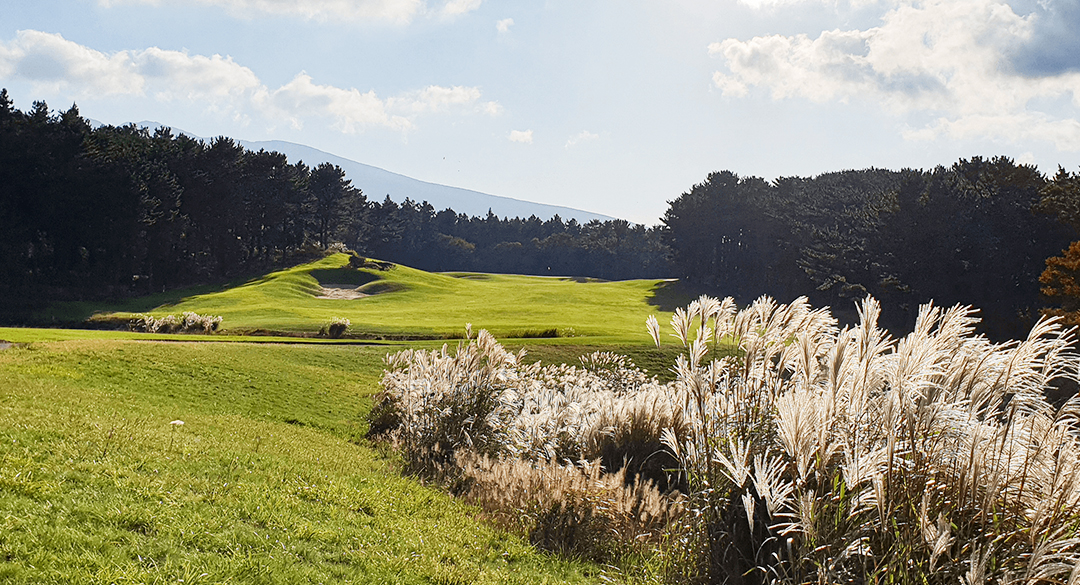 더시에나컨트리클럽 골프장 예약 이미지 7