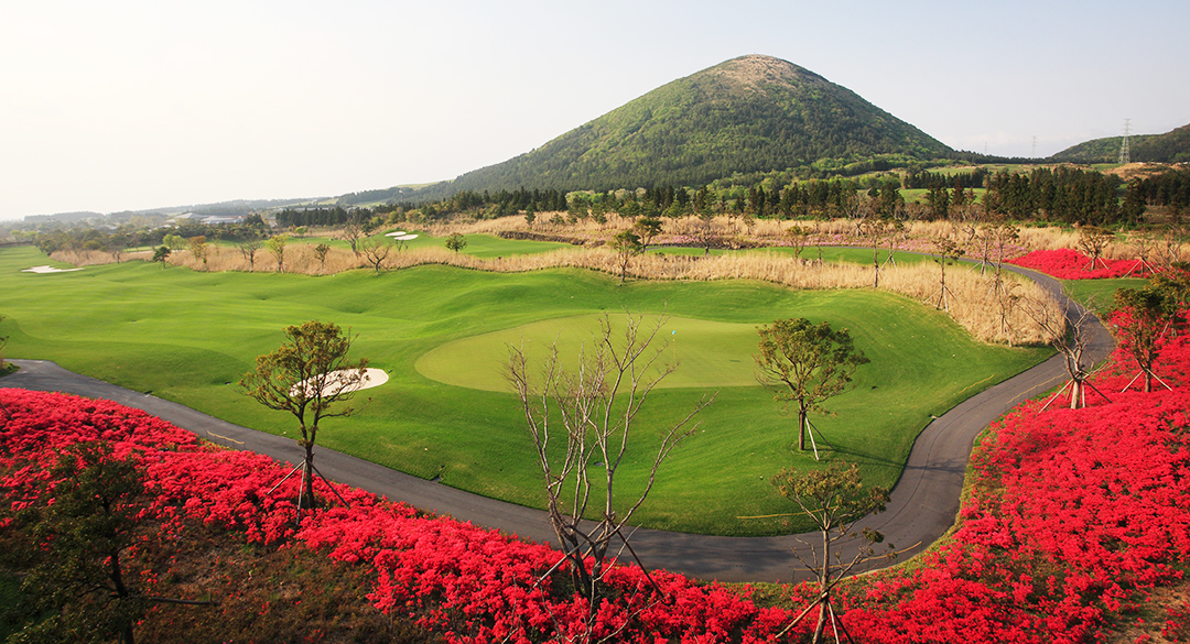 엘리시안제주컨트리클럽 골프장 예약 이미지 6