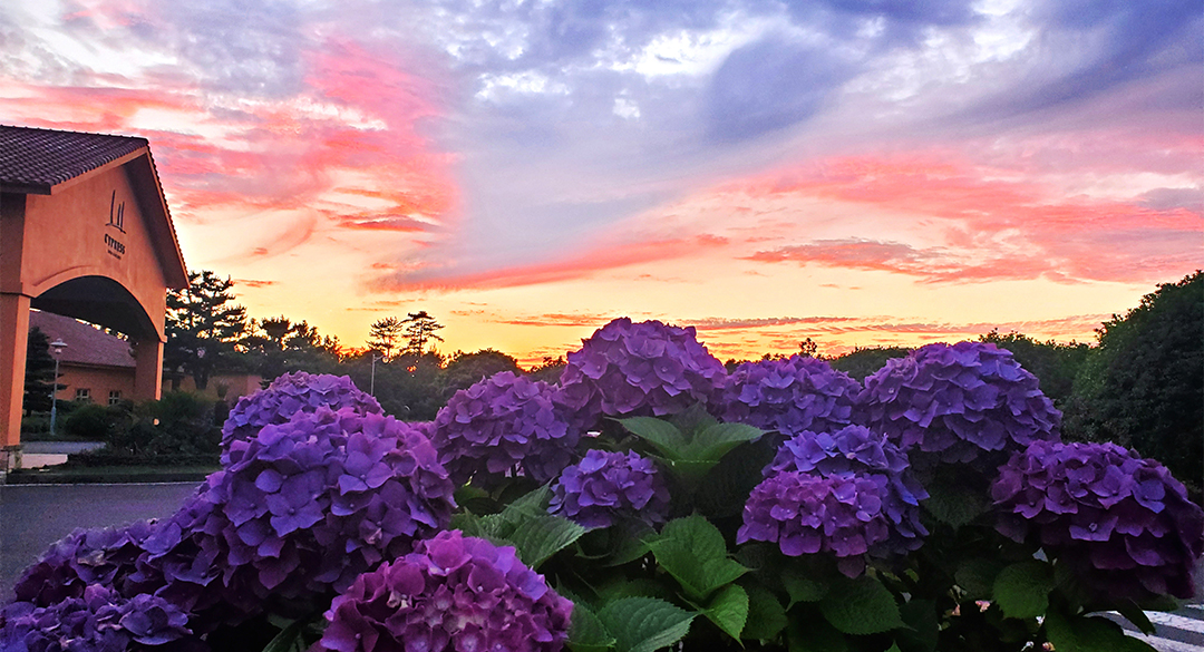 사이프러스 골프장 예약 이미지 5