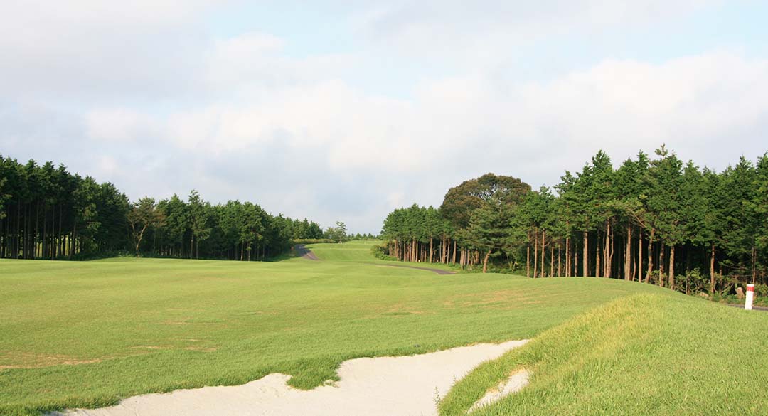 제주스프링데일컨트리클럽 골프장 예약 이미지 4