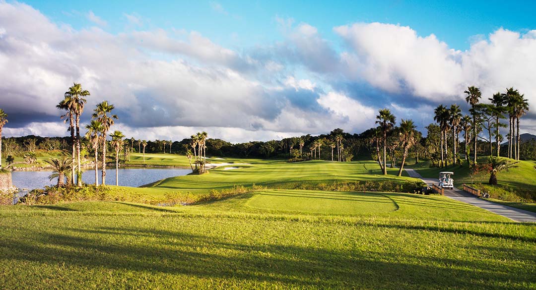 테디밸리 골프장 예약 이미지 4