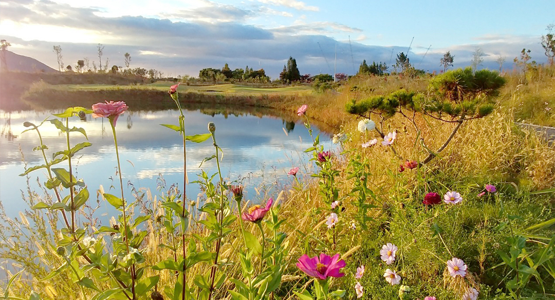인서울27 골프장 예약 이미지 5