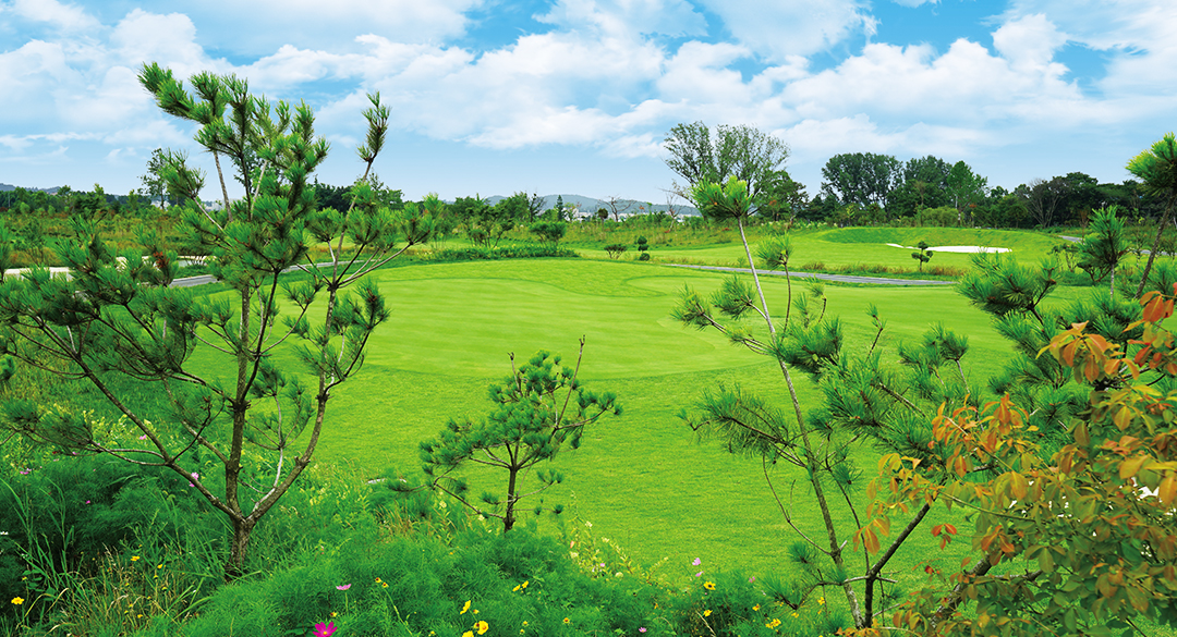 인서울27 골프장 예약 이미지 3