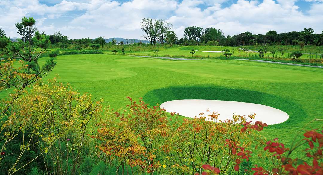 인서울27 골프장 예약 이미지 2