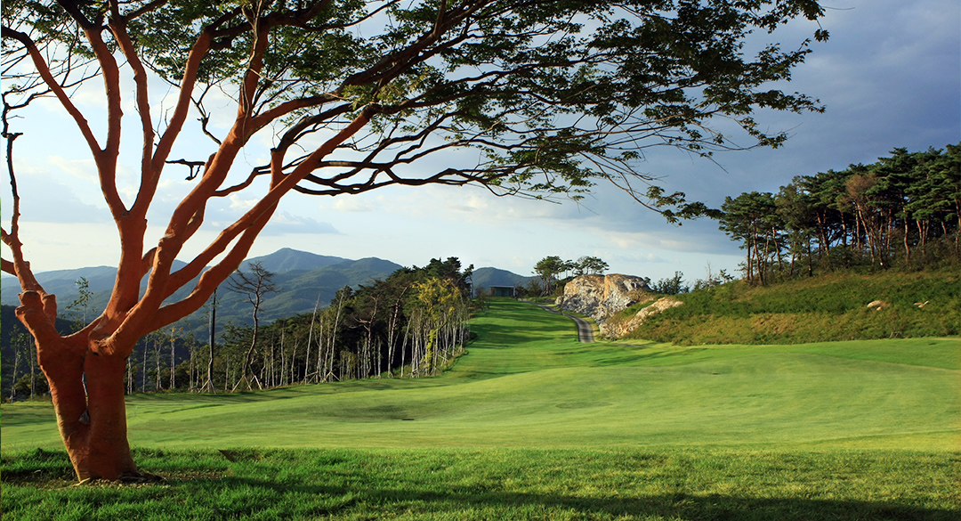 일레븐컨트리클럽 골프장 예약 이미지 1