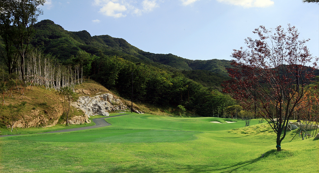 일레븐컨트리클럽 골프장 예약 이미지 2