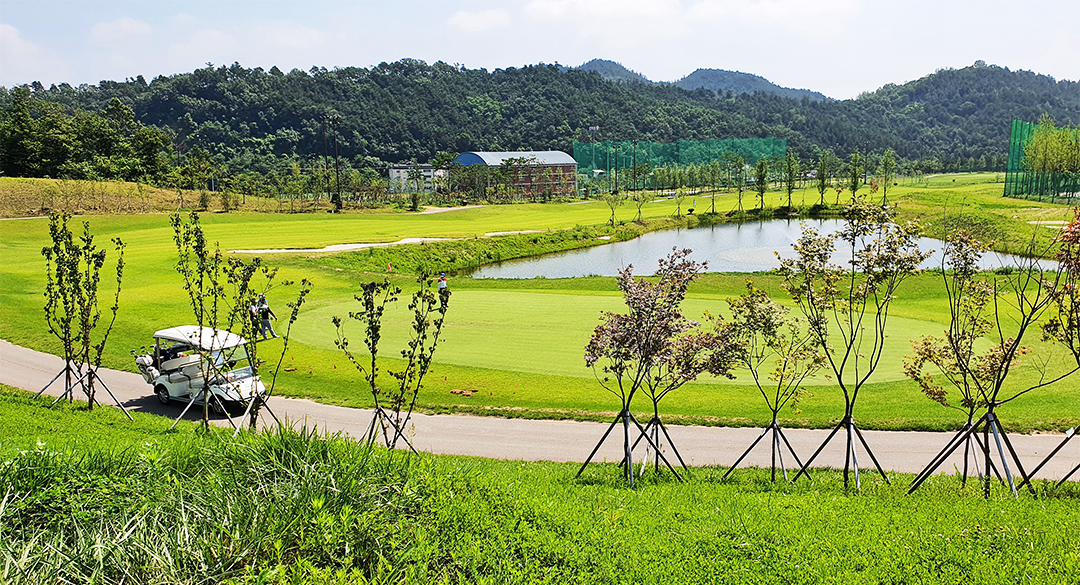 대가야(P9)컨트리클럽 골프장 예약 이미지 4