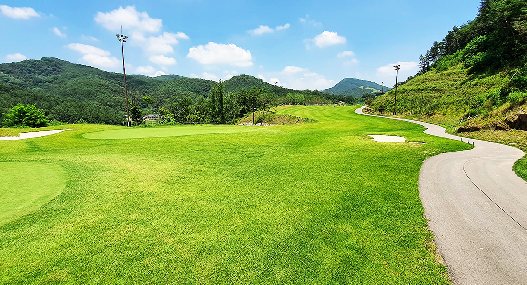 대가야(P9)컨트리클럽 골프장 예약 이미지 2
