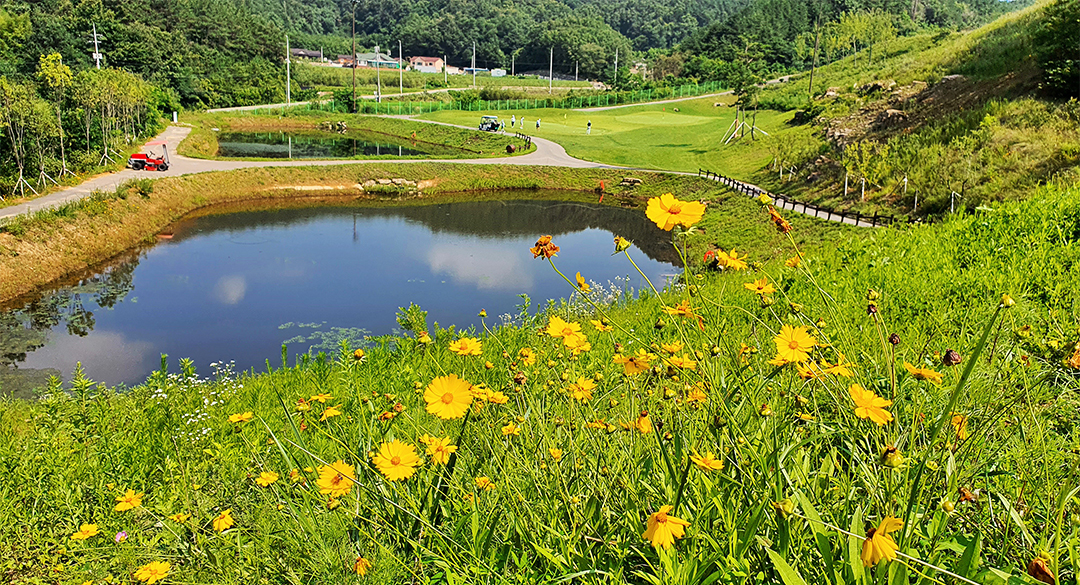 대가야(P9)컨트리클럽 골프장 예약 이미지 3