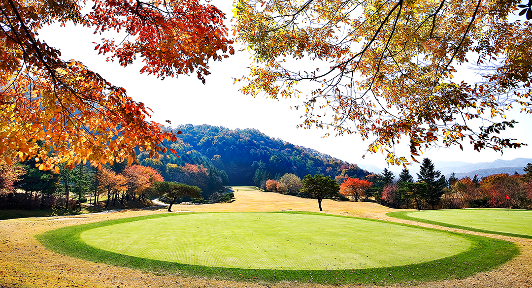 뉴서울 골프장 예약 이미지 6