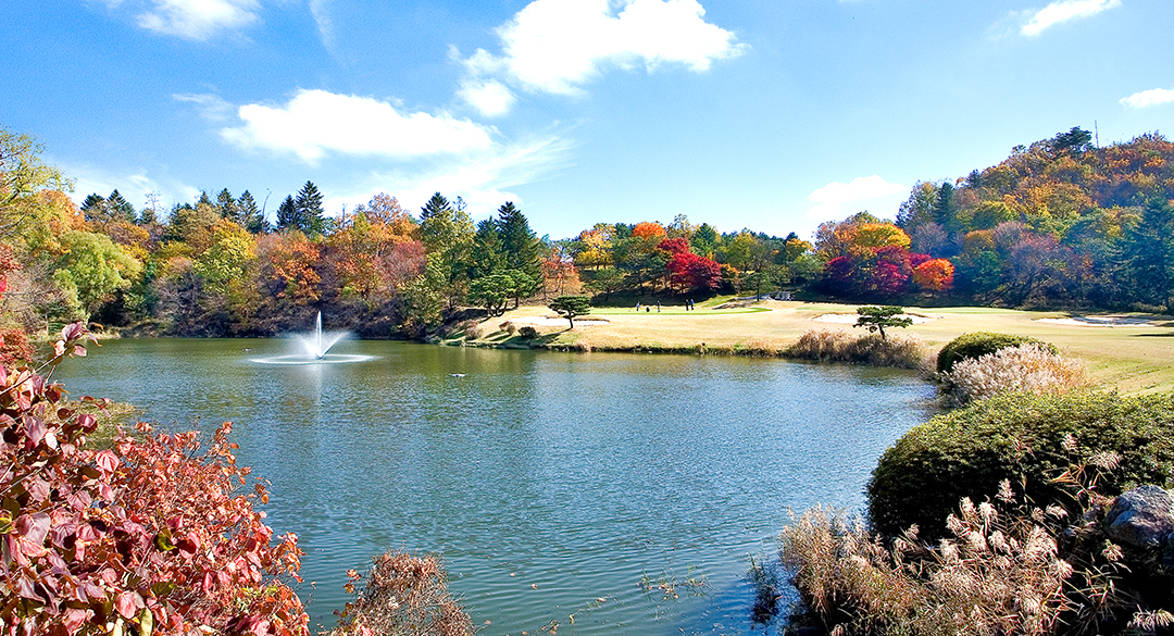 뉴서울 골프장 예약 이미지 1