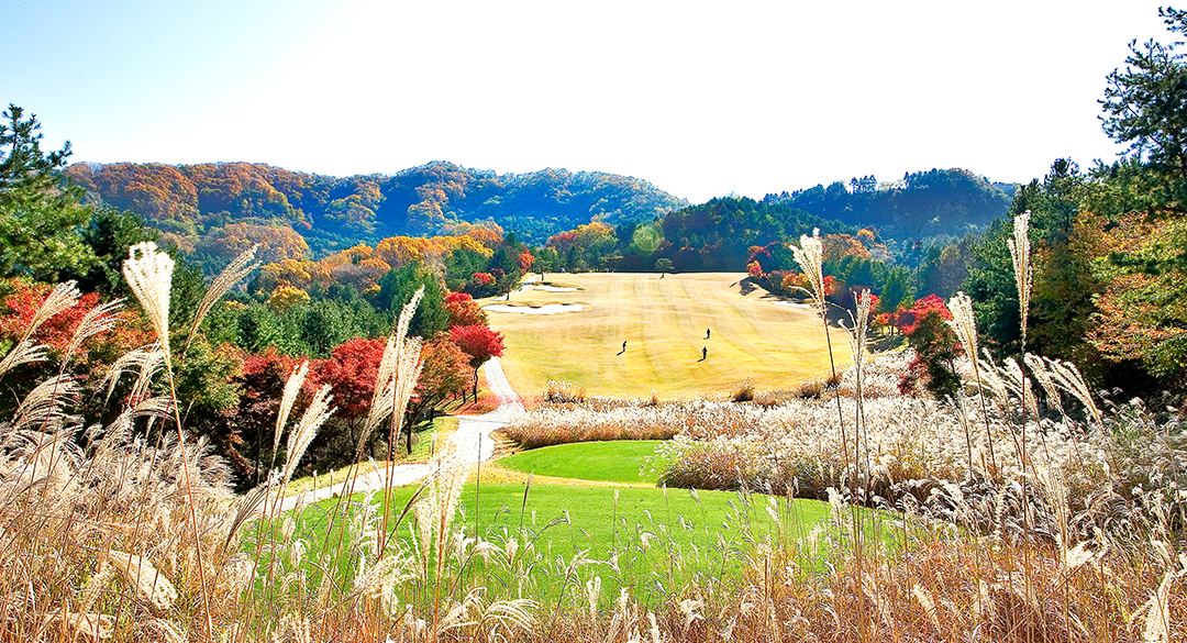 뉴서울 골프장 예약 이미지 4