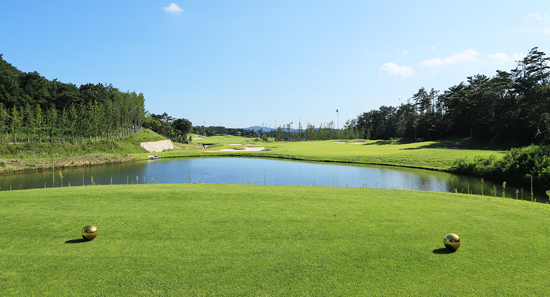 골프존카운티 더골프컨트리클럽 골프장 예약 이미지 3