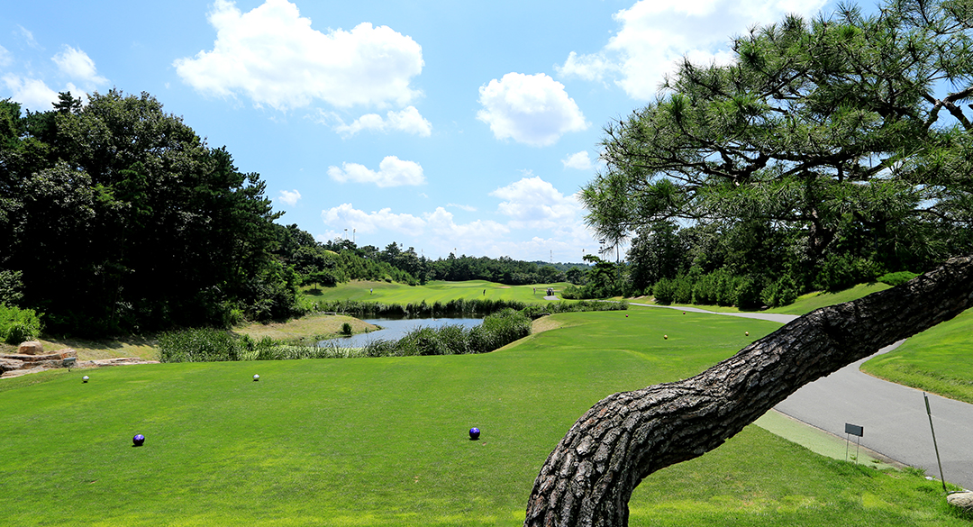 골프존카운티 더골프컨트리클럽 골프장 예약 이미지 5