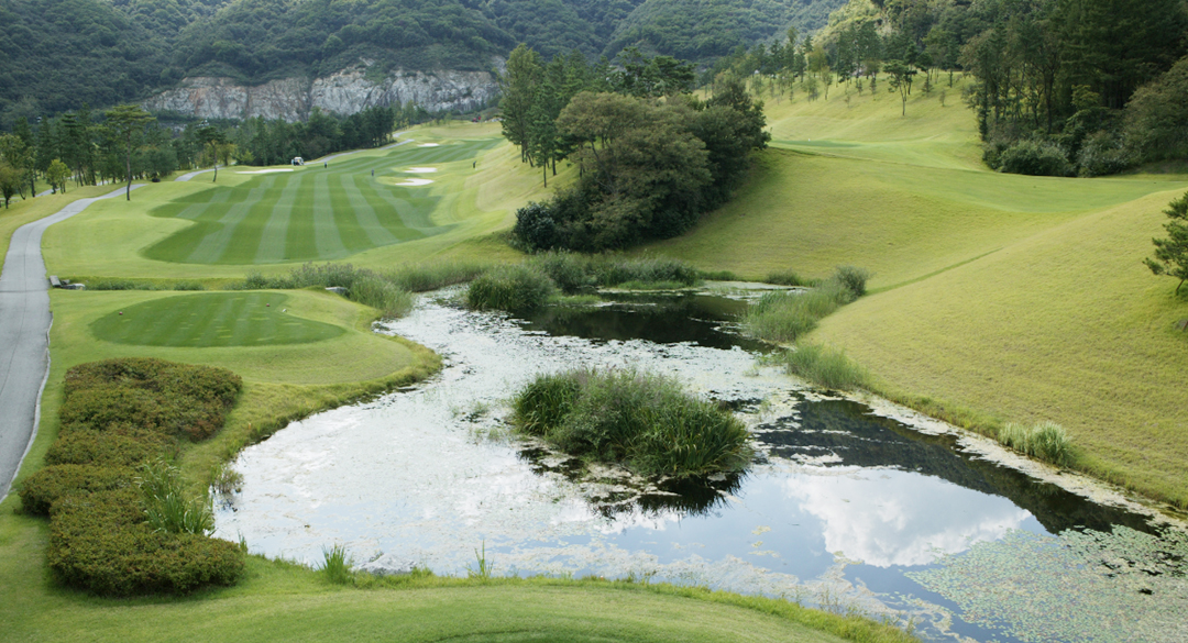 버드우드 골프장 예약 이미지 5
