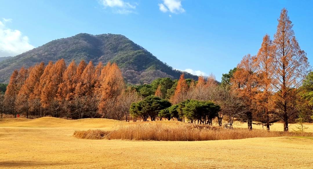 유성컨트리클럽 골프장 예약 이미지 2