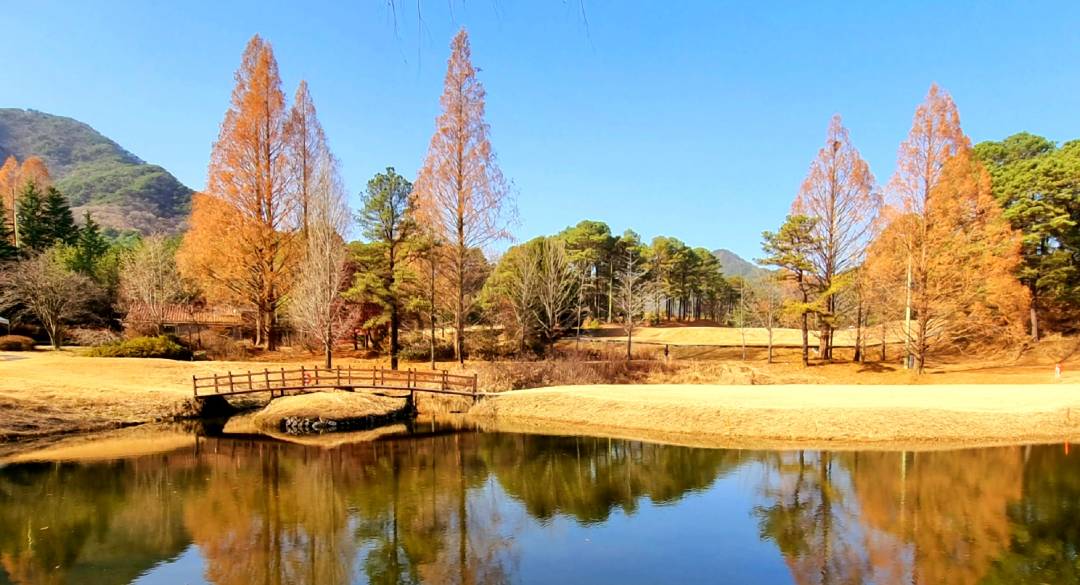 유성컨트리클럽 골프장 예약 이미지 3