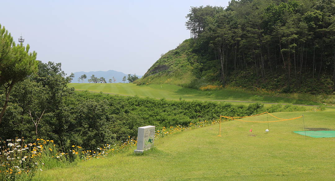 의령 리온컨트리클럽 골프장 예약 이미지 5