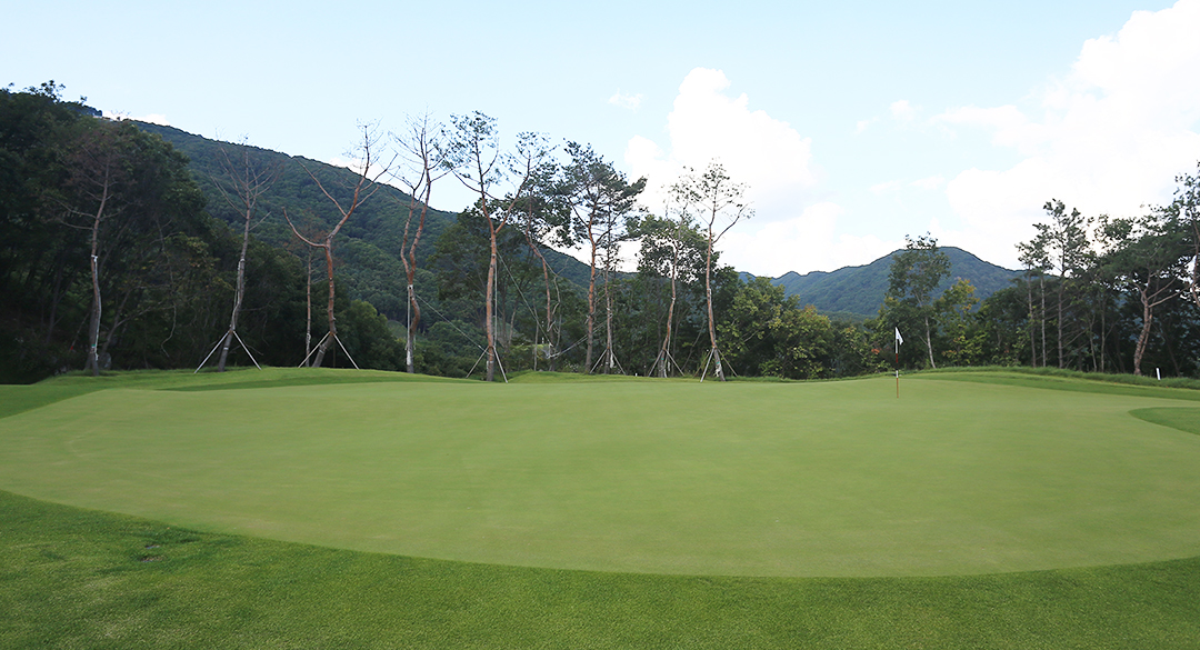 코브스윙 (구 참밸리)골프클럽 골프장 예약 이미지 3
