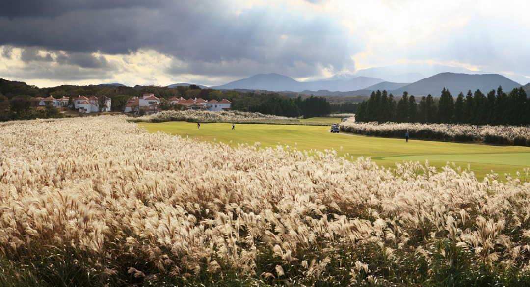 에코랜드골프클럽 골프장 예약 이미지 4