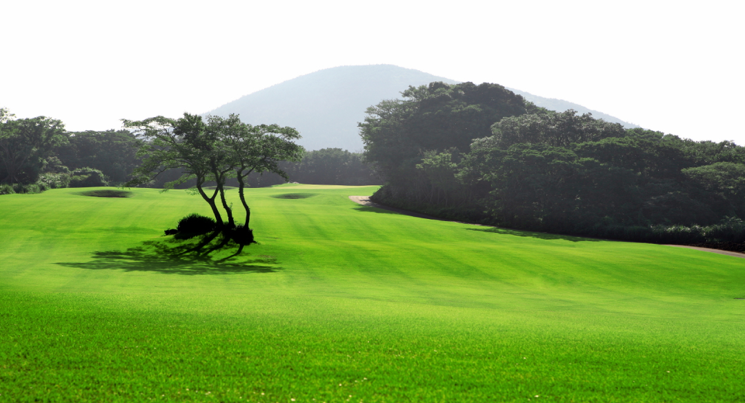 에코랜드골프클럽 골프장 예약 이미지 6