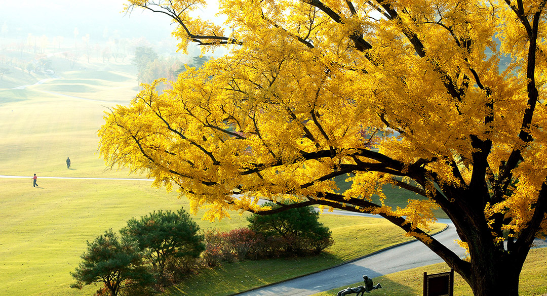 글렌로스(P9)골프클럽 골프장 예약 이미지 5