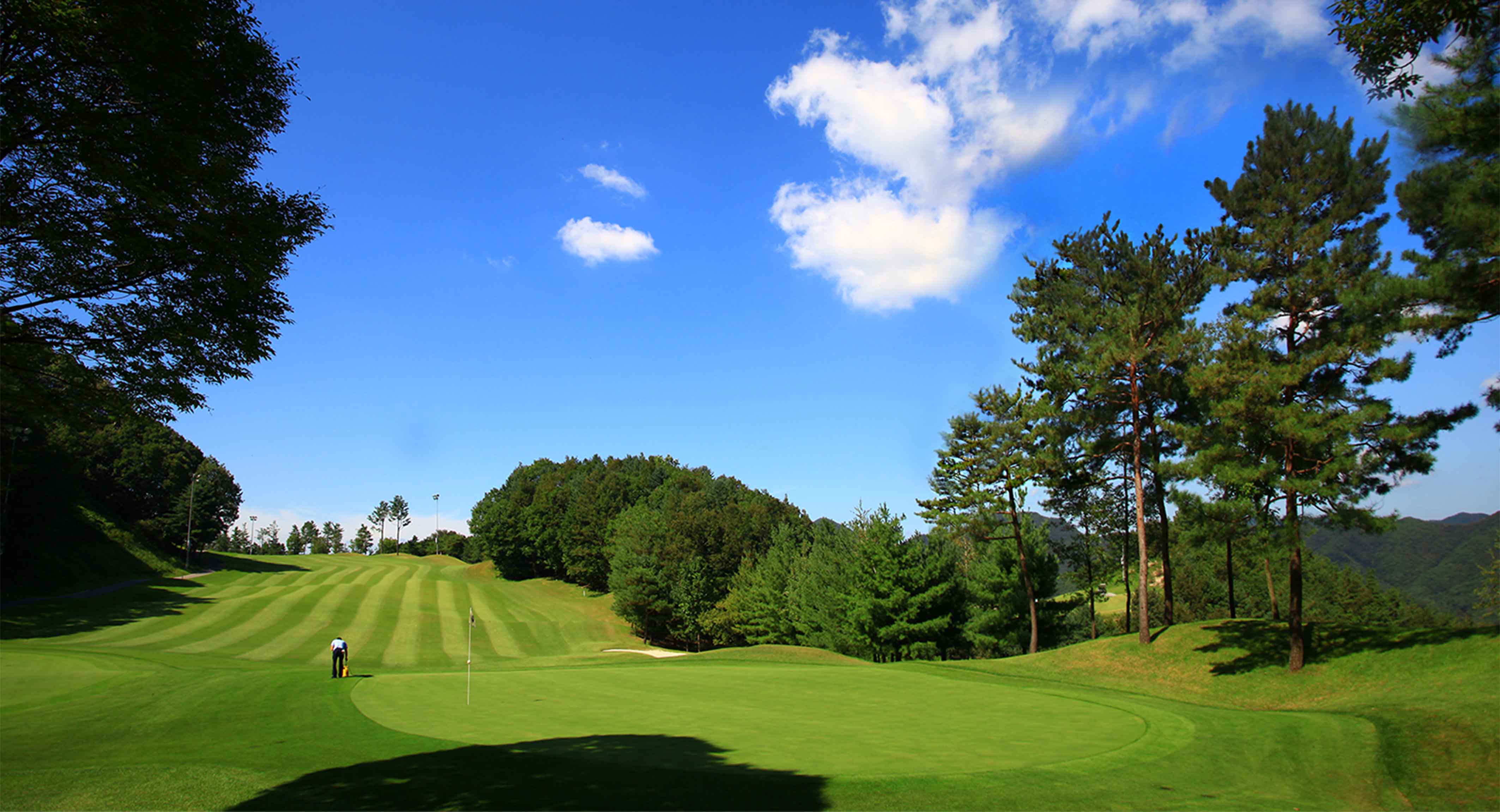 월송리컨트리클럽 골프장 예약 이미지 2