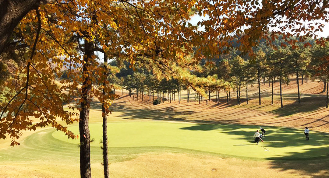 코리아(P9) 골프장 예약 이미지 5