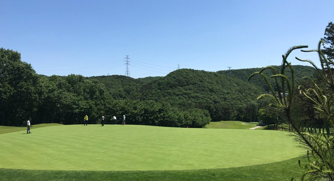 코리아(P9) 골프장 예약 이미지 8