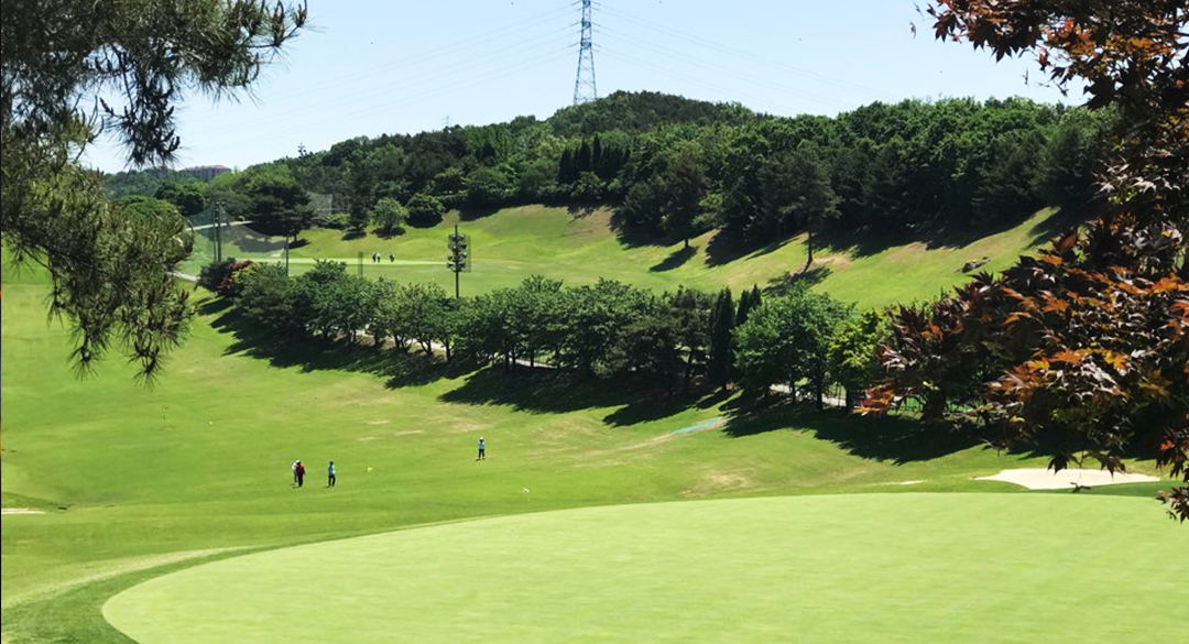 코리아(P9) 골프장 예약 이미지 7