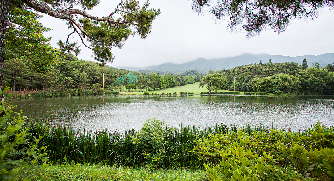 코오롱가든(P9)컨트리클럽 골프장 예약 이미지 6