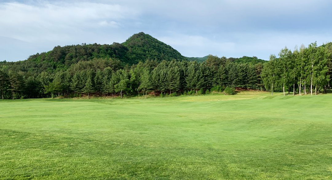 용평(P9)골프클럽 골프장 예약 이미지 5