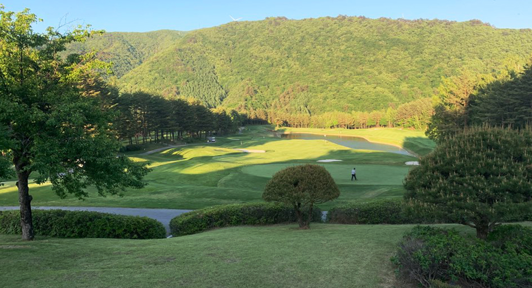 용평(P9)골프클럽 골프장 예약 이미지 6