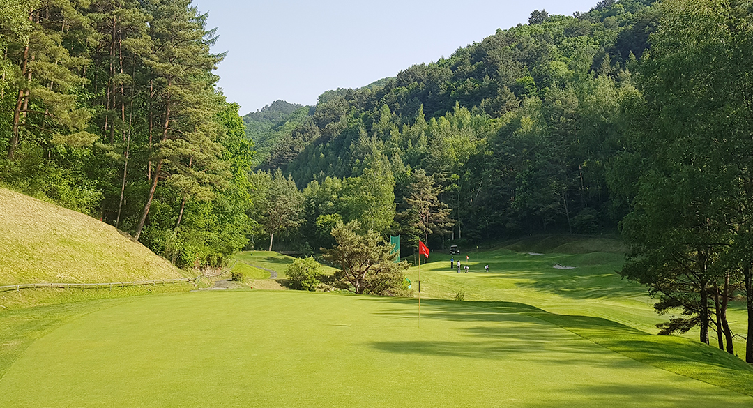 용평(P9)골프클럽 골프장 예약 이미지 1