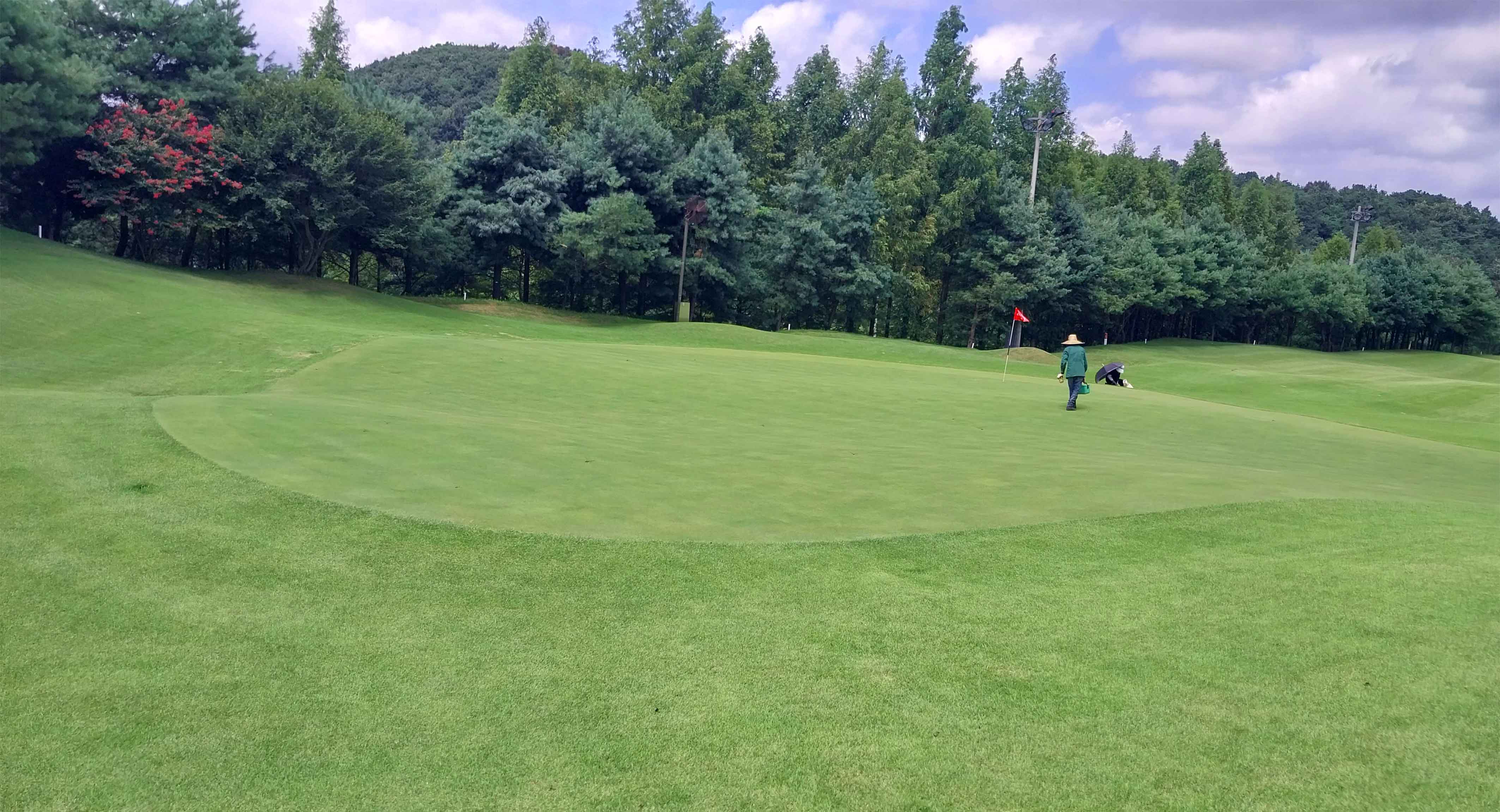 골드리버 골프장 예약 이미지 5