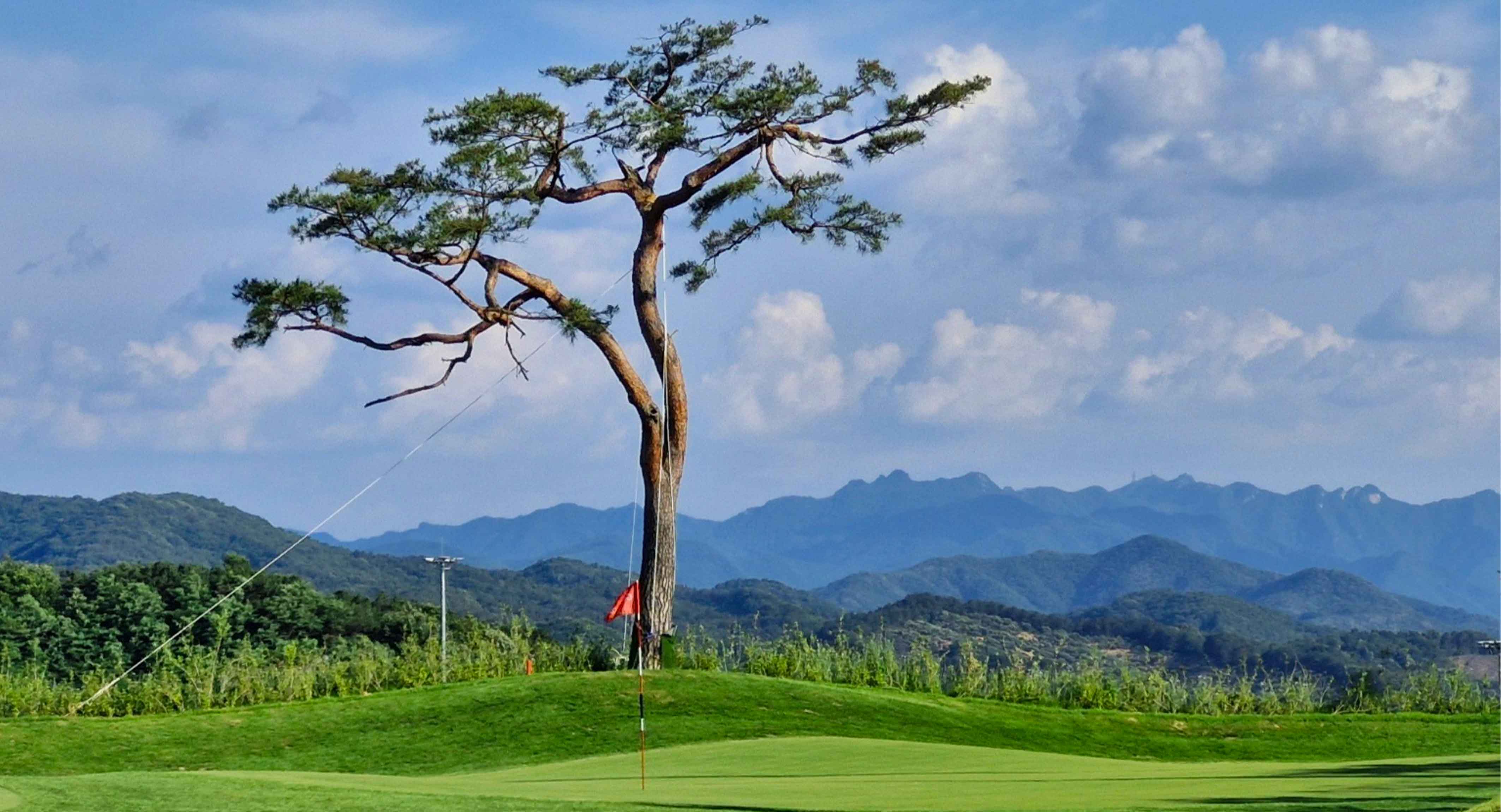 골드리버 골프장 예약 이미지 1