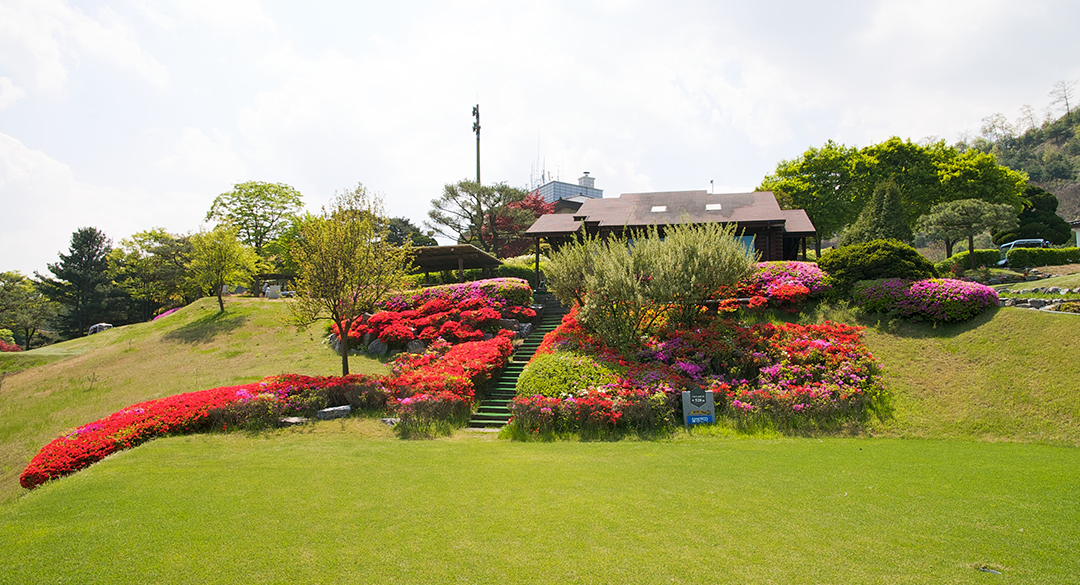 강남300컨트리클럽 골프장 예약 이미지 6