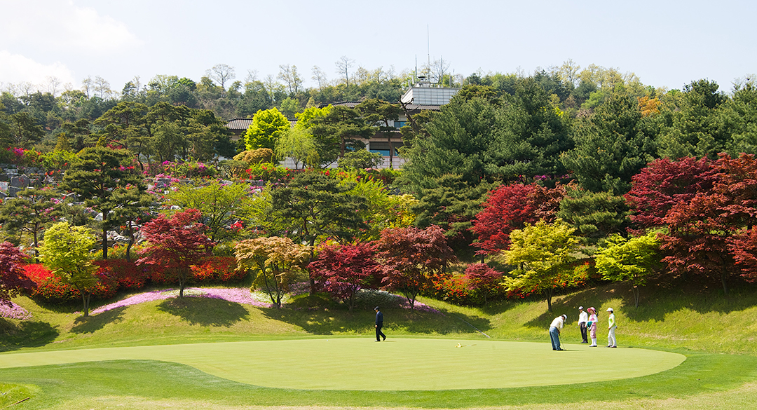 강남300컨트리클럽 골프장 예약 이미지 4