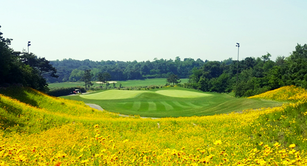 파나시아(P9)골프클럽 골프장 예약 이미지 2