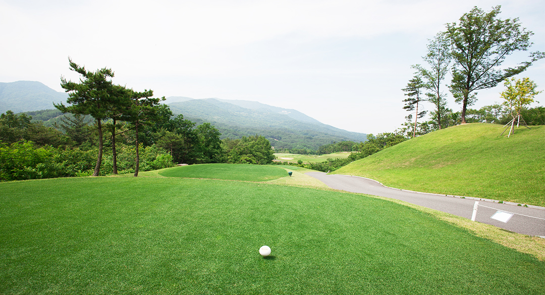 애플밸리(P9)컨트리클럽 골프장 예약 이미지 4