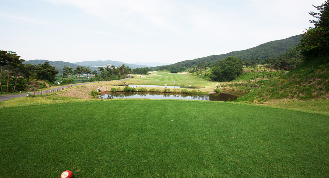 애플밸리(P9)컨트리클럽 골프장 예약 이미지 5