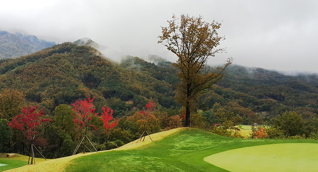 애플밸리(P9)컨트리클럽 골프장 예약 이미지 2