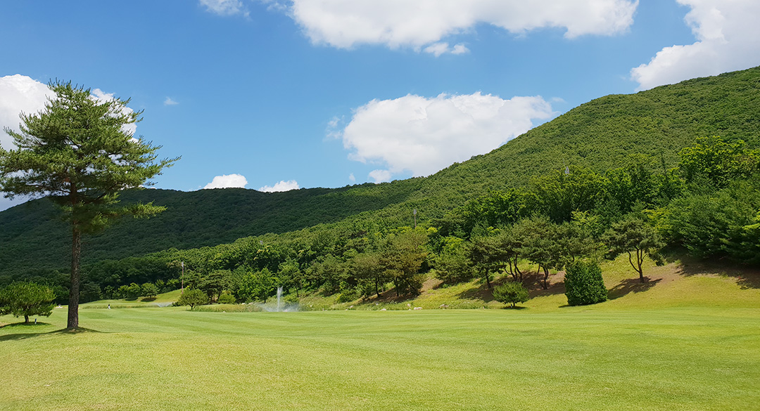 베스트밸리(P9)골프클럽 골프장 예약 이미지 3