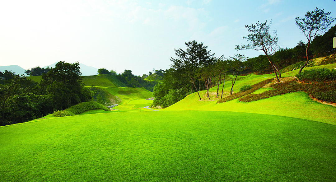 동강시스타컨트리클럽 골프장 예약 이미지 4