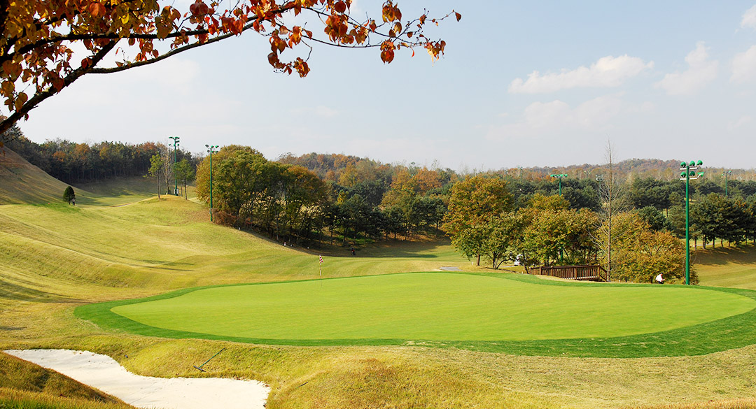 빅토리아(P9)골프클럽 골프장 예약 이미지 5
