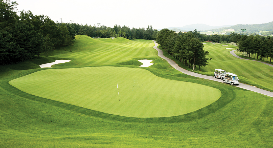 빅토리아(P9)골프클럽 골프장 예약 이미지 1