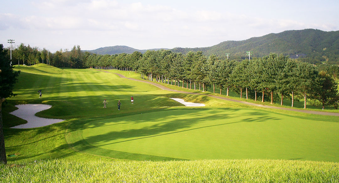 빅토리아(P9)골프클럽 골프장 예약 이미지 2