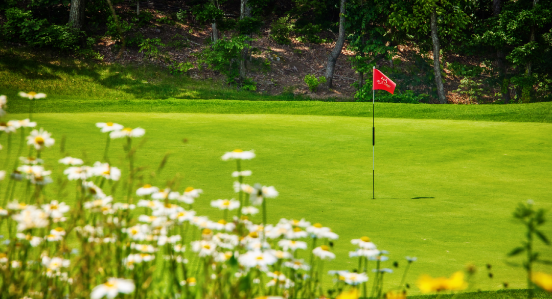 블랙스톤 벨포레컨트리클럽 골프장 예약 이미지 4