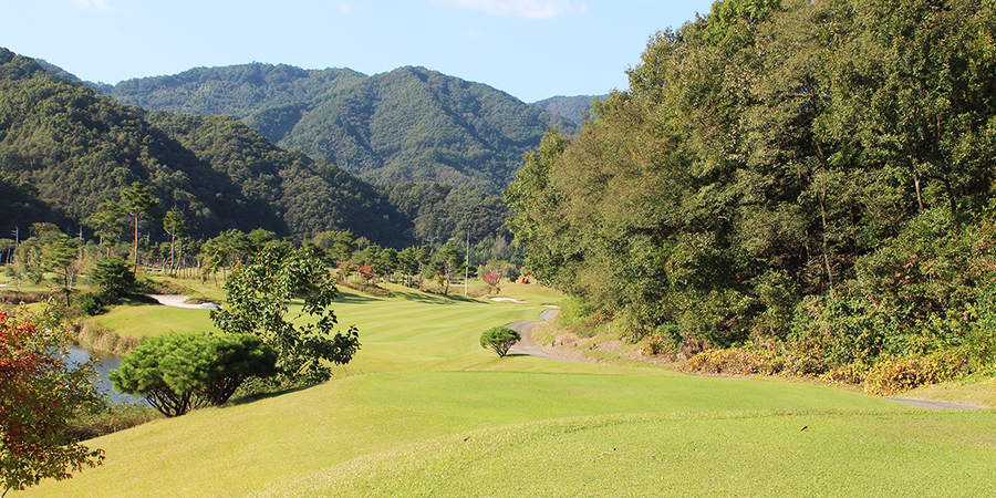 포도컨트리클럽 골프장 예약 이미지 6